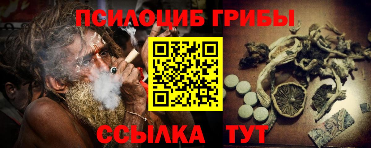 Галлюциногенные грибы прущие грибы Дербент